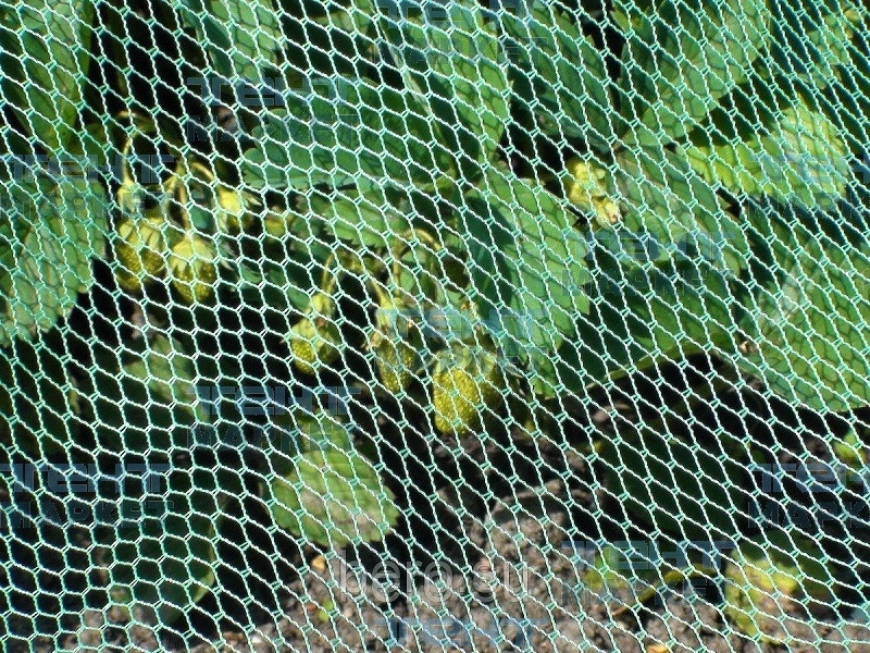 Сетка от птиц полиэфирная 3х5 м, ячейка 8х8 мм (зелёная), фото 3